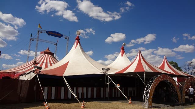 circus, clown, são carlos, são paulo, brazil, fun, circus, circus, circus, circus, circus
