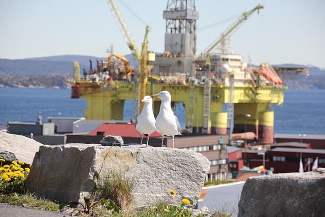 platform, oil, rig, oil rig, technology, offshore, nature, ocean, seagulls, birds, yellow